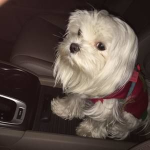 Meet your Posher, Jeffrey